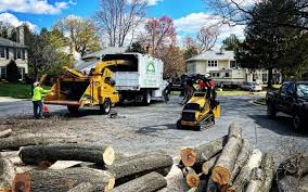 Best Seasonal Cleanup (Spring/Fall)  in Allyn, WA