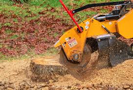 Best Lot and Land Clearing  in Allyn, WA