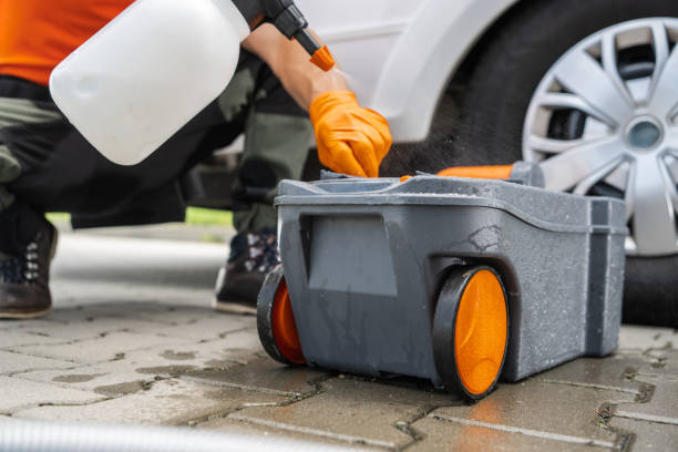 Best Tree Health Inspection  in Allyn, WA